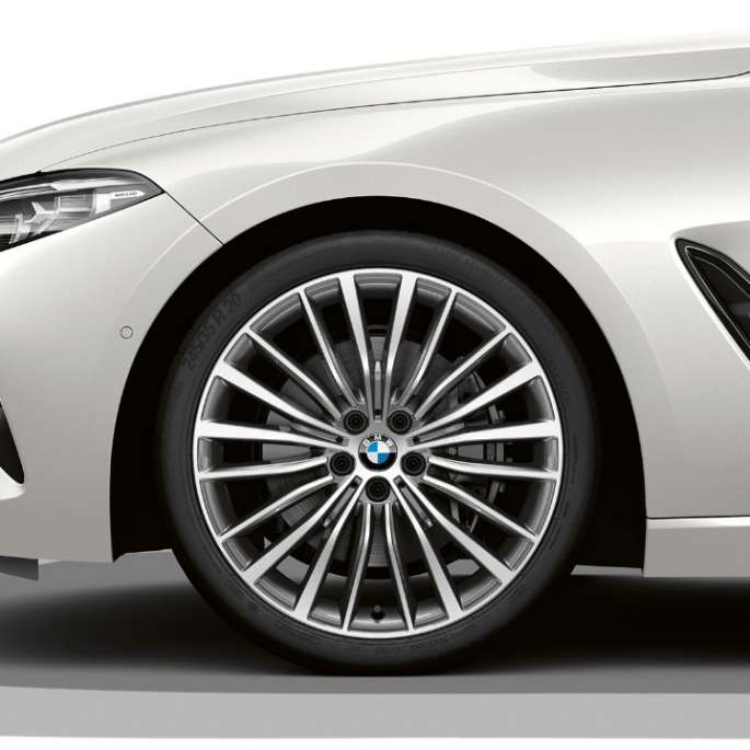Rines de aleación ligera de 19'' con rayos múltiples bicolor en estilo 731. BMW Serie 8 Coupé, Rines de aleación ligera de 19'' con rayos múltiples bicolor en estilo 731.
