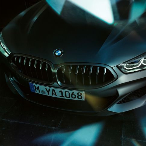 Parrilla de riñón del BMW M850i xDrive Gran Coupé Acercamiento frontal de la parrilla de riñón del BMW M850i xDrive Gran Coupé G16 2019 BMW Individual Frozen Bluestone metálico
